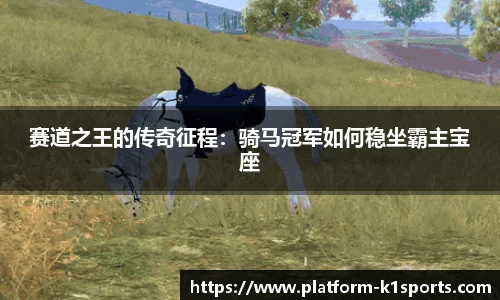 k1体育官网